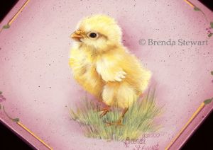 Spring Chick